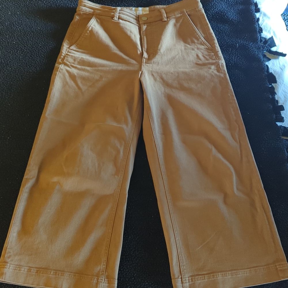 Everlane wide leg pant